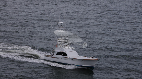 ballie who iii.islamorada fl.9531