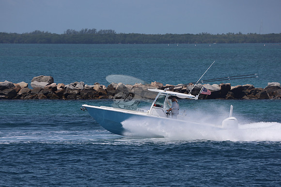 EVERGLADES.BLUE.03