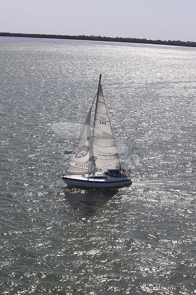 585.MS M..FL9900SM.16