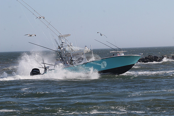 dl2224ak.unreel.7993
