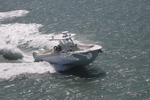 Boston Whaler.2 merc.1