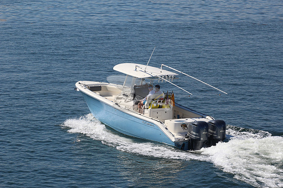 cobia.5398