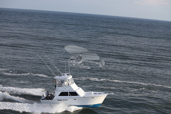 all in.ocean city md.1226