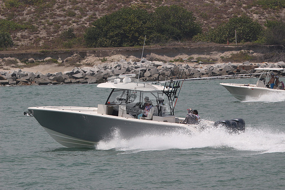 COBIA.GRAY.36