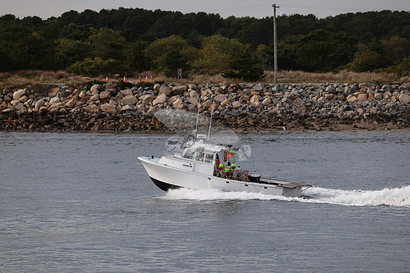 ms8866hy.08