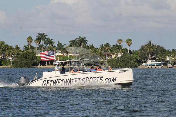DOLPHIN CAT.SINGER ISLAND FL.03