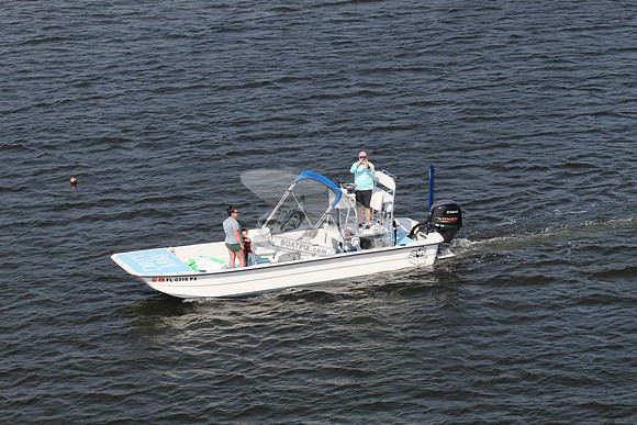 fl0310px.
