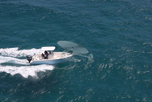 FL7910SW.12
