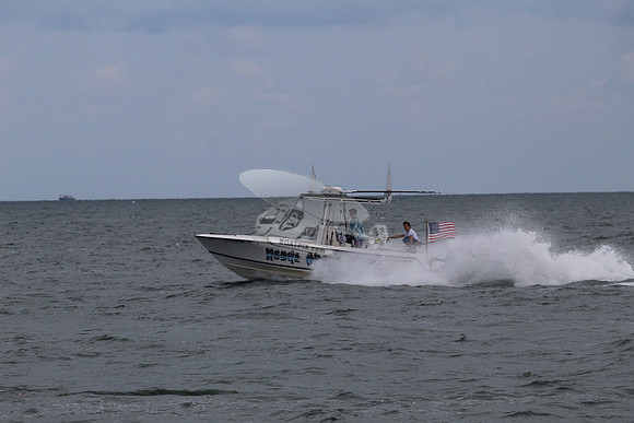 FL3131MJ.HEADS ABOVE WATER.08