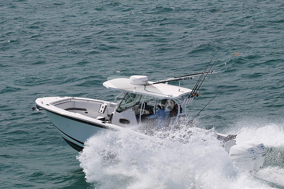 BLACKFIN.09