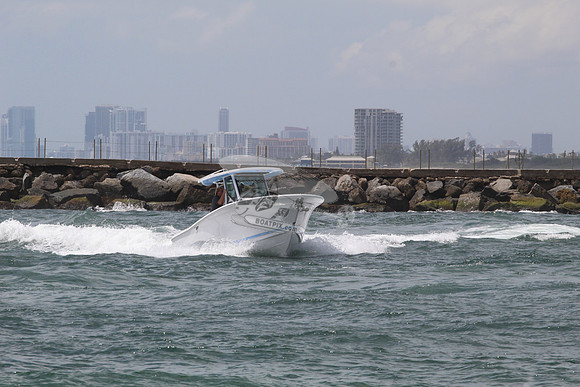 BLACKFIN.05