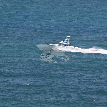 COPA..FL.YELLOWFIN.01