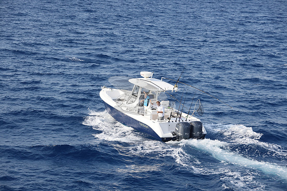 EVERGLADES29.DK BLUE.11