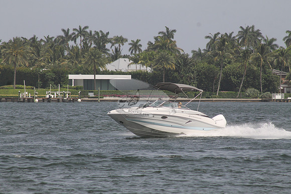 CROWNLINE.GRAY TOP.01