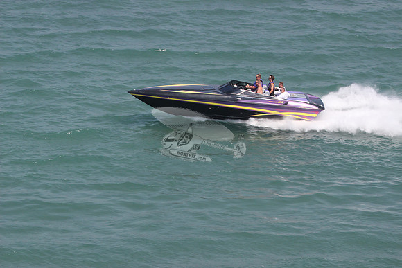 intimidator 28.purple black yellow.5827