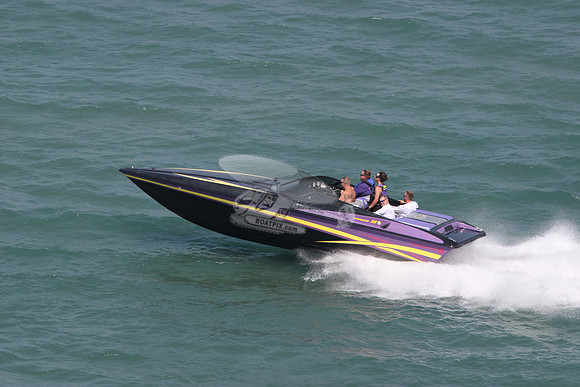 intimidator 28.purple black yellow.5830