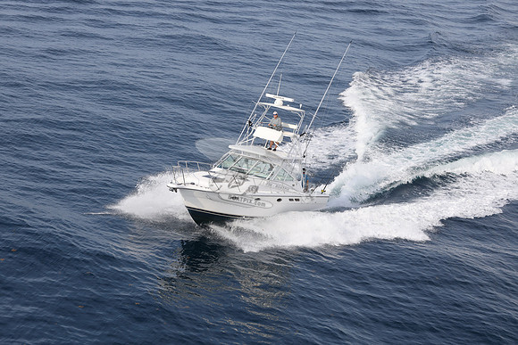ANGLER MANAGEMENT.FTL.TIARA.25