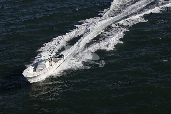 FL0193RD.39
