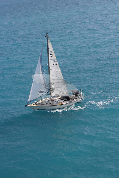 017.floren c.3885