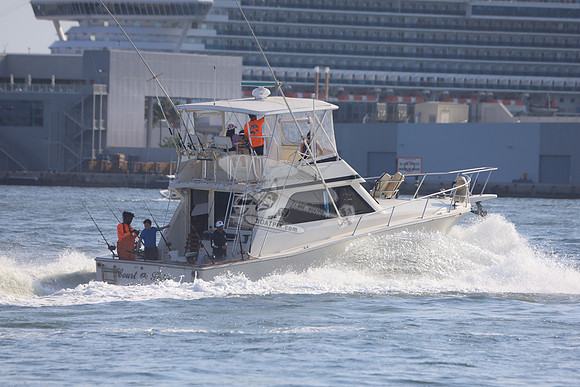 COURT SHIP.14