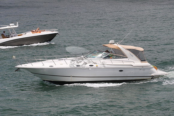 CRUISERS42.1
