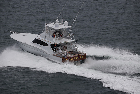 back n down.stuart.04