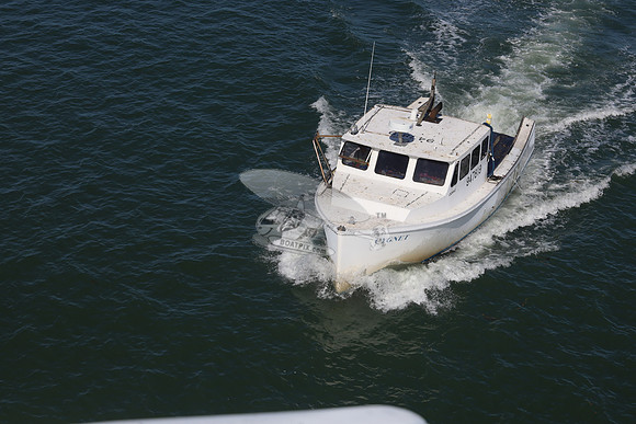 947819.CYGNET.GREEN HARBOR MA.01