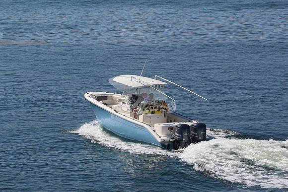 cobia.5397