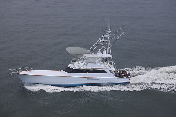 BEAST.PALM BEACH FL.085