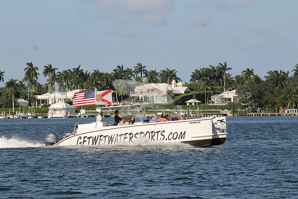 DOLPHIN CAT.SINGER ISLAND FL.01