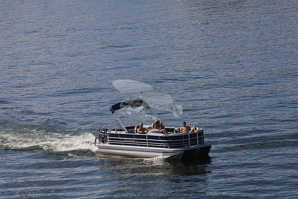 Berkshite.blue.suzuki.01