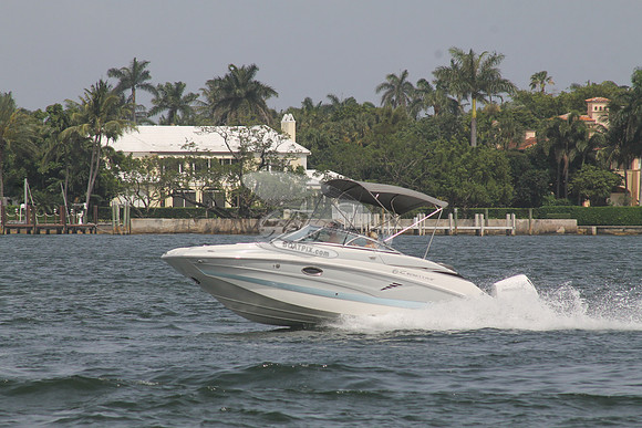 CROWNLINE.GRAY TOP.04