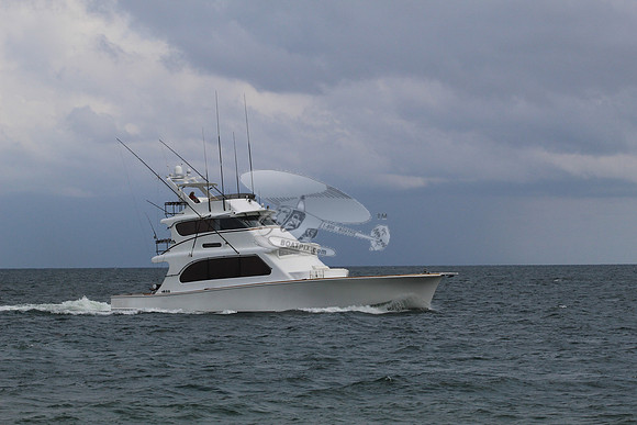 FINAL DECISIONS.HYLTONIAN..BCH FL.01