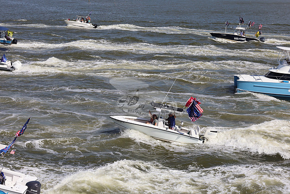 Dolphin Boats.1