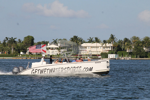 DOLPHIN CAT.SINGER ISLAND FL.02