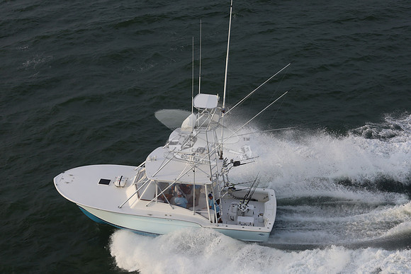 Bella.indian river.12