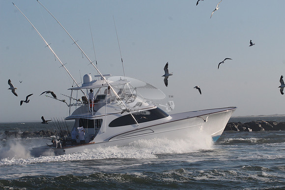 billfisher.9602