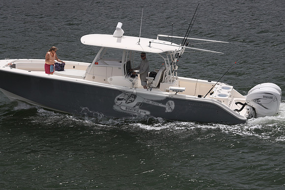 cobia 350.gray.2
