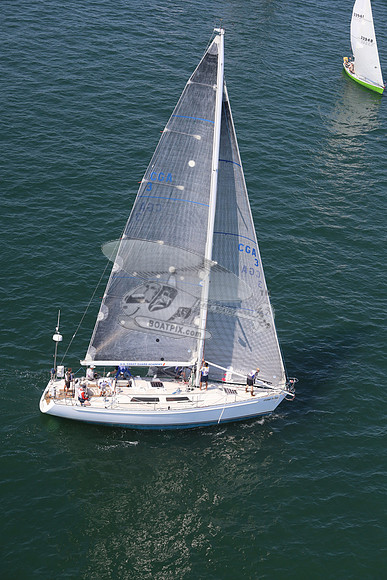 3.stormy petrel.4