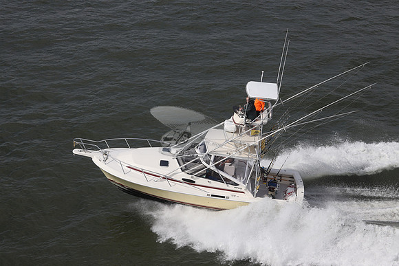 CANEELIN.OCEAN CITY MD.20
