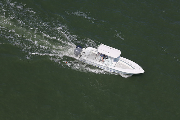 Contender.blue stripe.2 yamaha.7