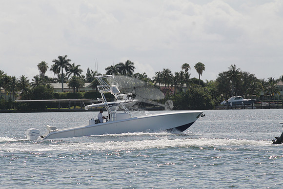 DIAMOND LIL.FL.3