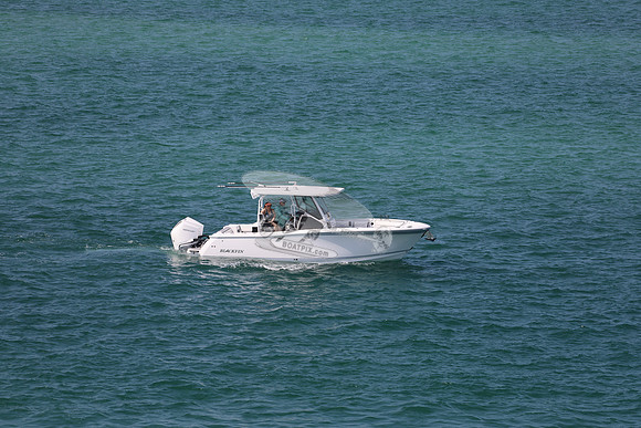 Blackfin.2