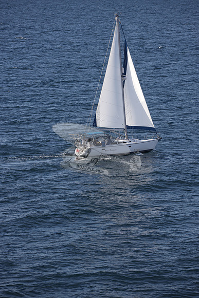 00000.SEA DRAGON.03