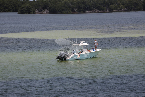 COBIA.2 YAMAHA.9628
