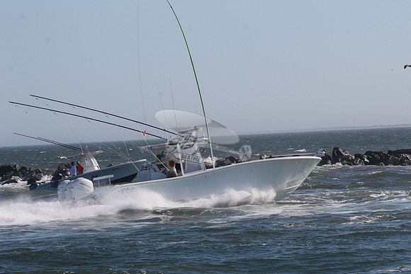 fishbox.yellowfin.7997