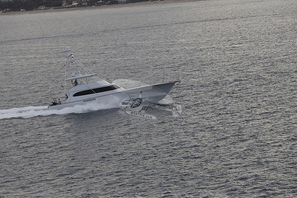 beast.palm beach.0835