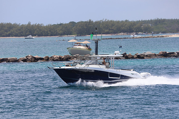 FL0551TB.1