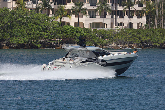 CHICKEN MONEY.AZIMUT.8