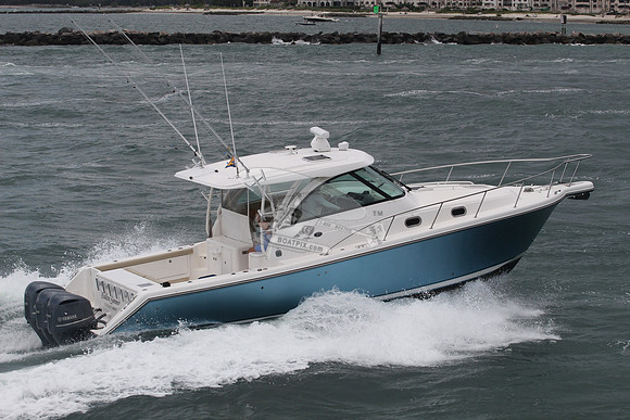 ENDLESS SUMMER.COCO GRV FL.PURSUIT38.3